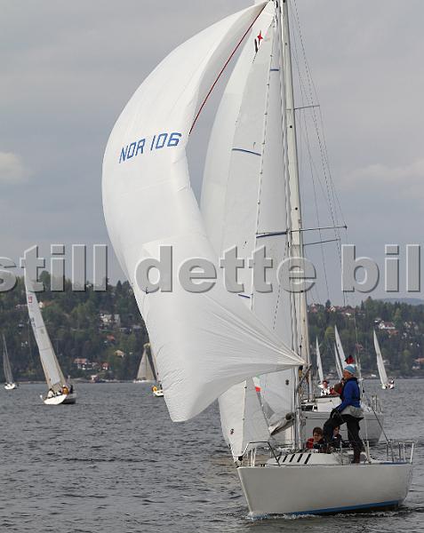 Bundefjorden2012 240.jpg